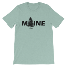 Maine - Pine Tree
