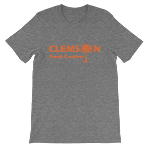 Clemson - Palmetto