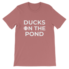 Ducks on the Pond