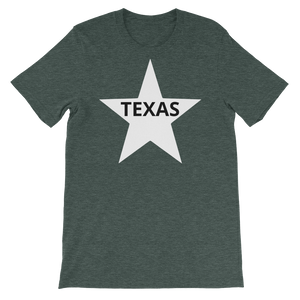 Texas - Lone Star State