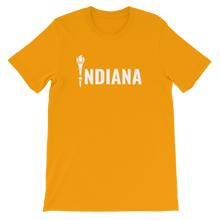 Indiana - Flag Torch