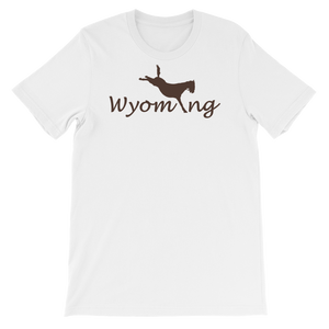 Wyom-i-ng Bucking Bronco - Wyoming, USA