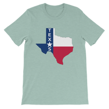Texas & Flag in Texas
