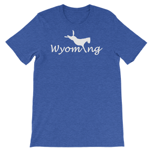 Wyom-i-ng Bucking Bronco - Wyoming, USA