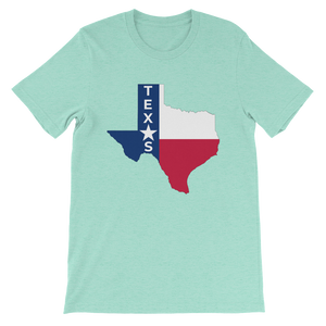 Texas & Flag in Texas