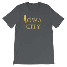 Iowa City - Hawk Feather